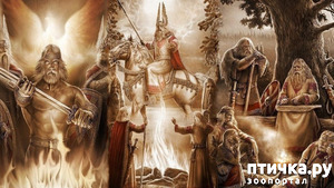 ����: ������ ���� �� - ���������. ����.