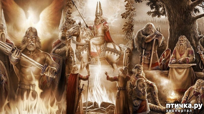 ���� 1: ������ ���� �� - ���������. ����.