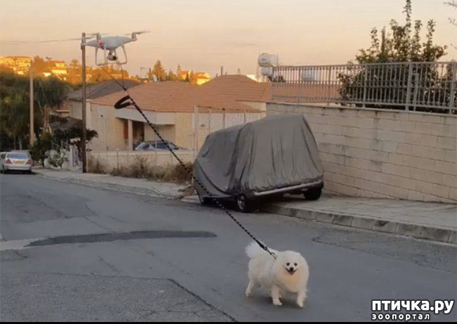 ���� 2: ��� �������� ���������� )