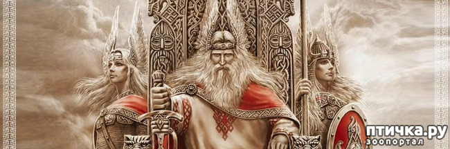 ���� 2: ������ ���� �� - ���������. ����.