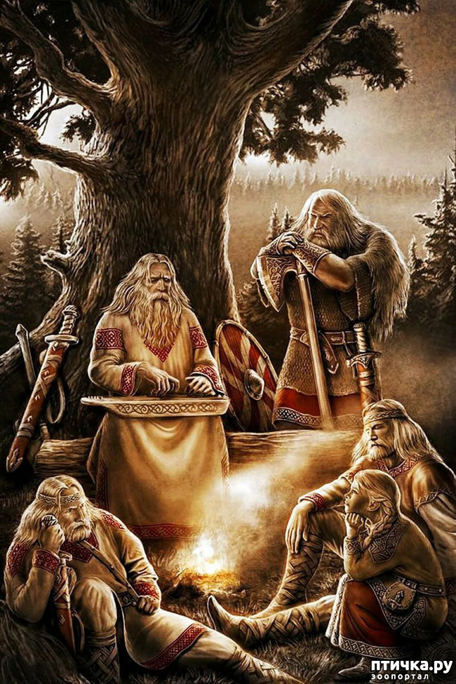 ���� 3: ������ ���� �� - ���������. ����.