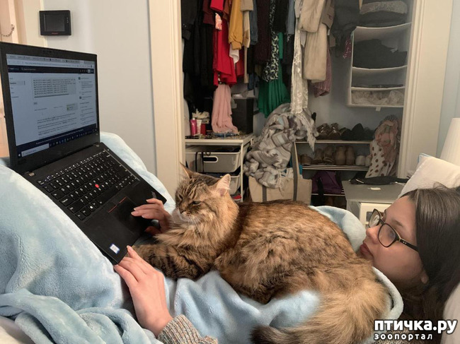 ���� 3: ��� �������� ���������� )