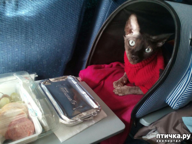 ���� 7: ����������� �� ����������� � ������.