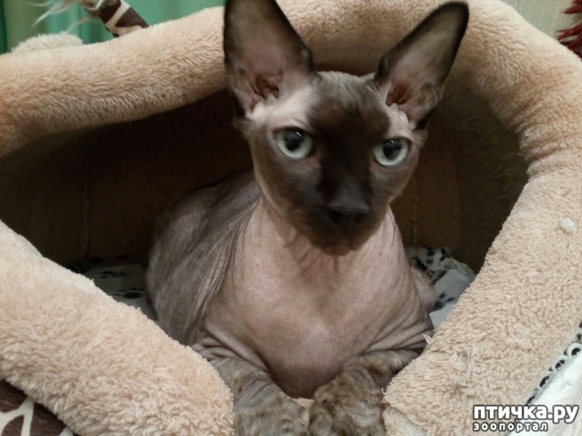 ���� 8: ����������� �� ����������� � ������.