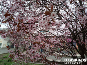 ����: ��������� �������