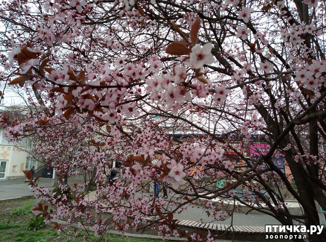 ���� 1: ��������� �������