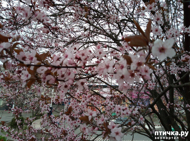 ���� 2: ��������� �������