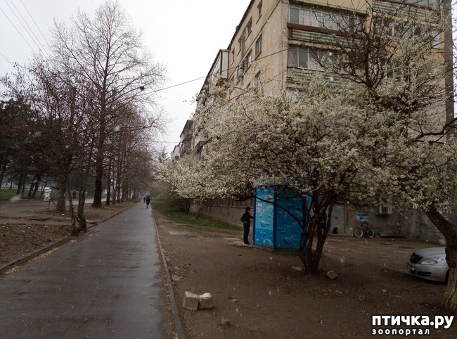 ���� 4: ��������� �������