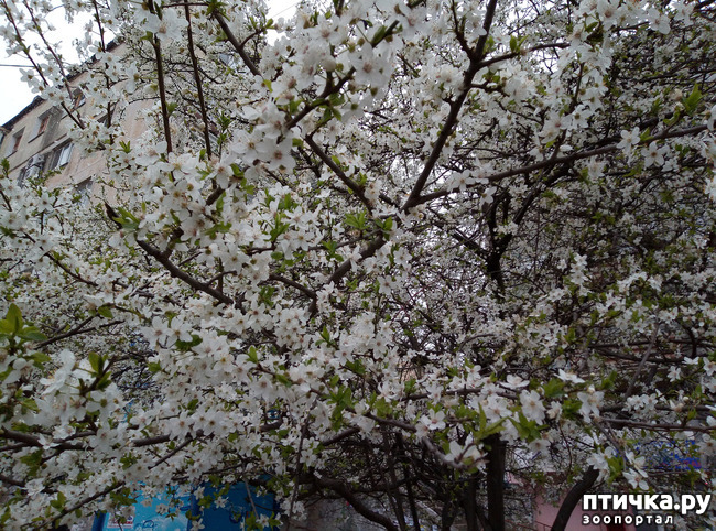 ���� 5: ��������� �������