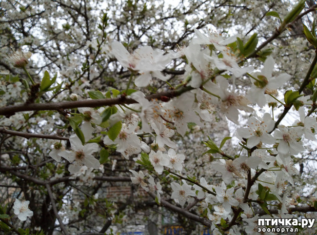 ���� 6: ��������� �������