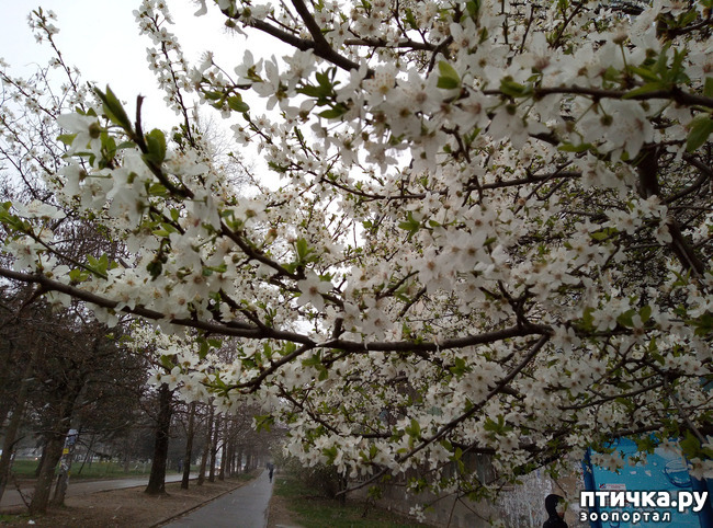 ���� 7: ��������� �������