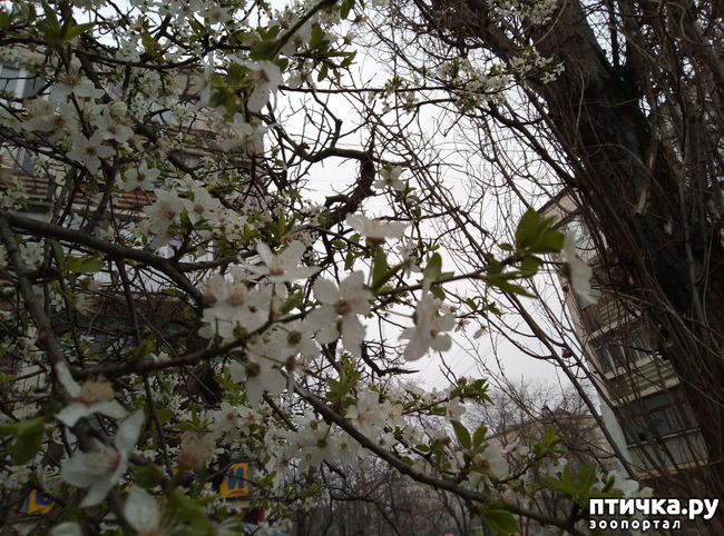 ���� 8: ��������� �������