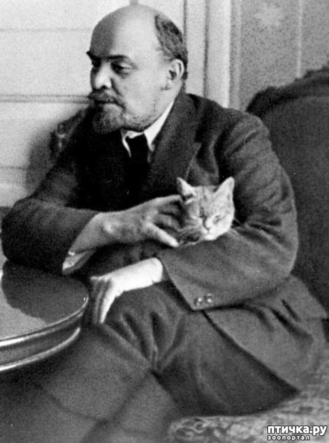 ���� 4: ������� ����� �������������