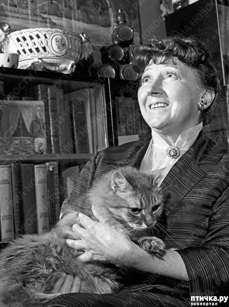 ���� 7: ������� ����� �������������