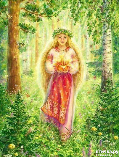 ���� 4: ������ ���� �� - ���������. ����.