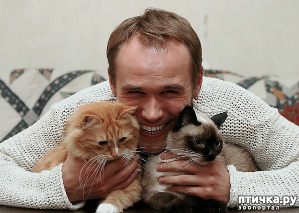 ���� 9: ������� ����� �������������