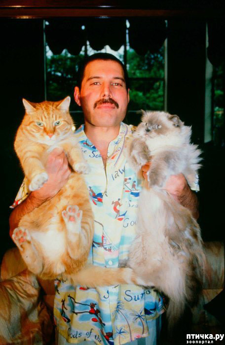 ���� 10: ������� ����� �������������