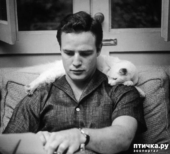 ���� 12: ������� ����� �������������