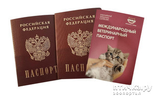 ����: ����������� �� ����������� � ������.