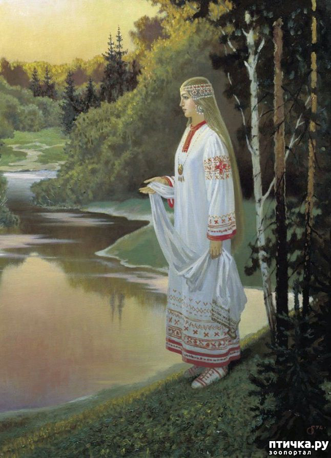 ���� 5: ������ ���� �� - ���������. ����.