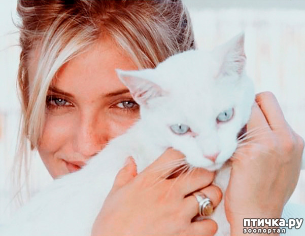 ���� 13: ������� ����� �������������