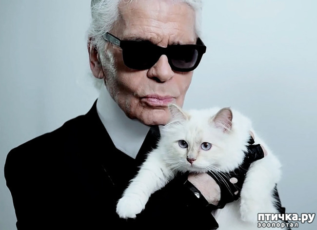 ���� 14: ������� ����� �������������