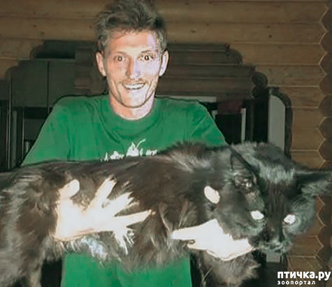 ���� 15: ������� ����� �������������