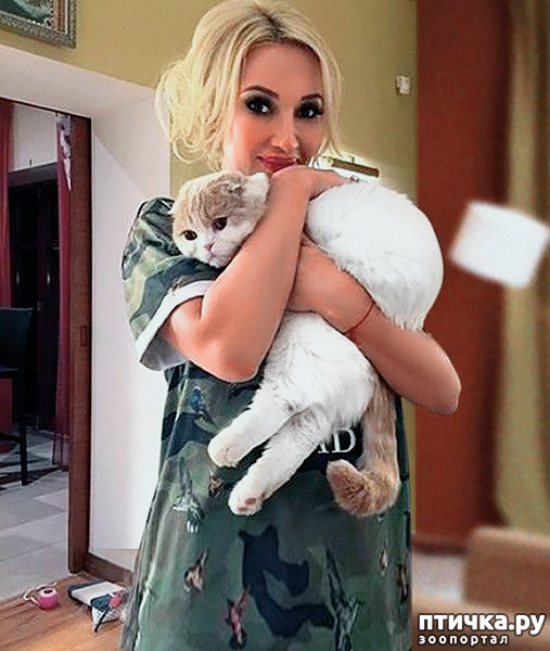 ���� 16: ������� ����� �������������