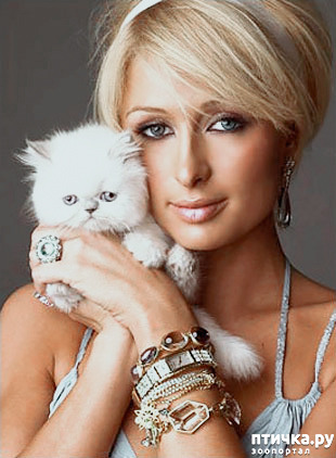 ���� 17: ������� ����� �������������