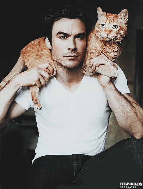 ���� 18: ������� ����� �������������