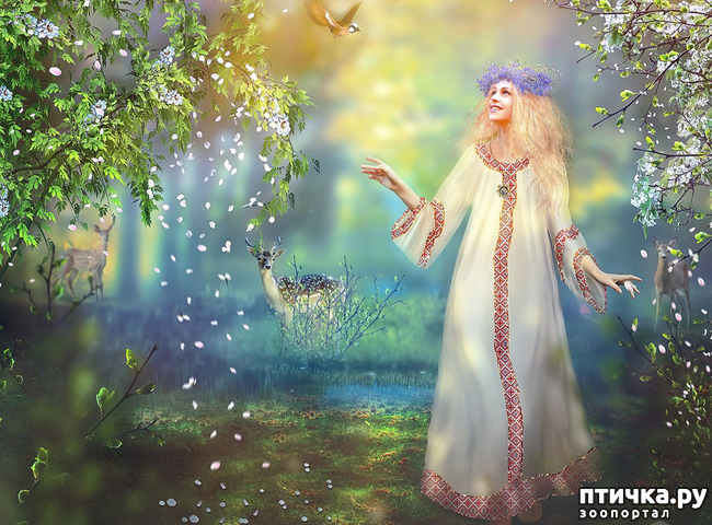 ���� 6: ������ ���� �� - ���������. ����.