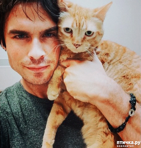 ���� 19: ������� ����� �������������