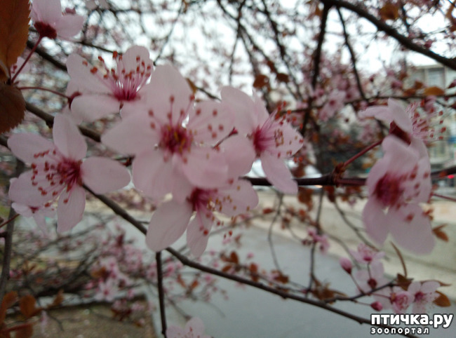 ���� 3: ��������� �������