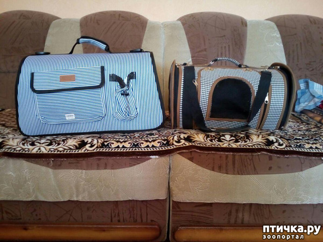 ���� 2: ����������� �� ����������� � ������.