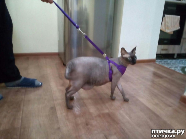 ���� 3: ����������� �� ����������� � ������.