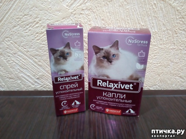 ���� 5: ����������� �� ����������� � ������.