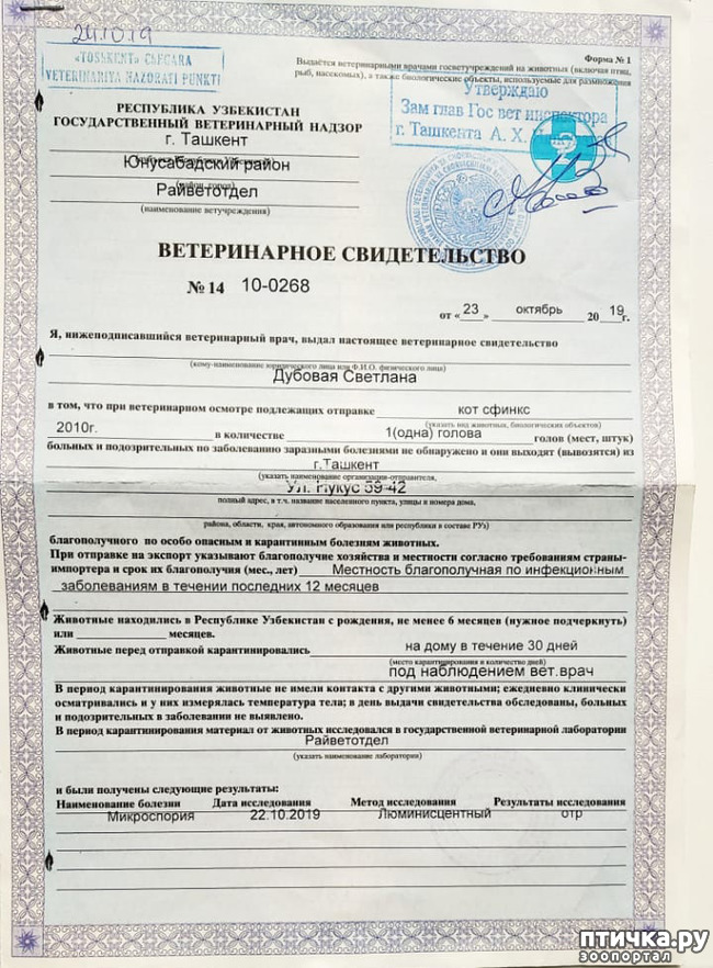 ���� 6: ����������� �� ����������� � ������.