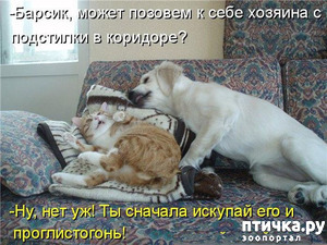 ����: ���� ������������