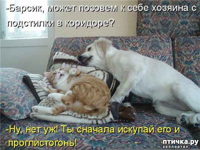 ���� 1: ���� ������������