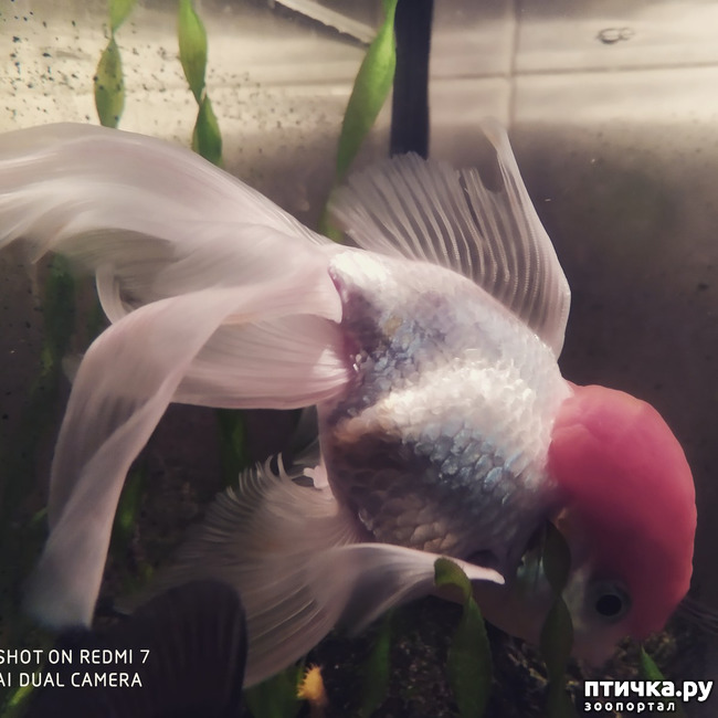 ���� 1: �������� �������: �������-���� 2020. ���� ���������.