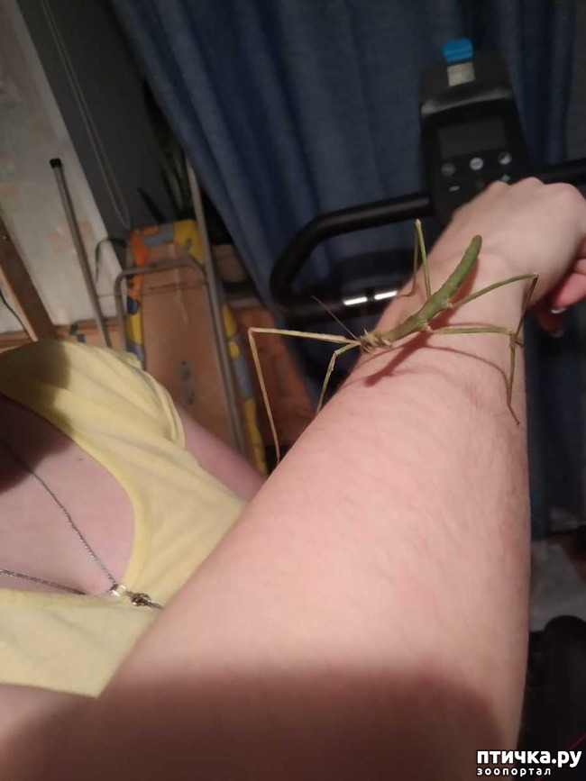 ���� 6: �������� �������: �������-���� 2020. ���� ���������.