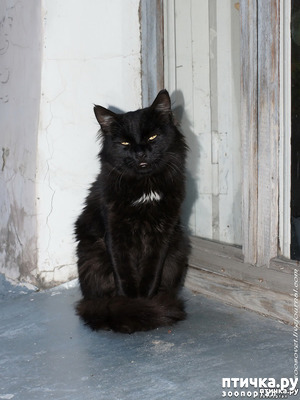 ����: ��������� ��� ������� ����