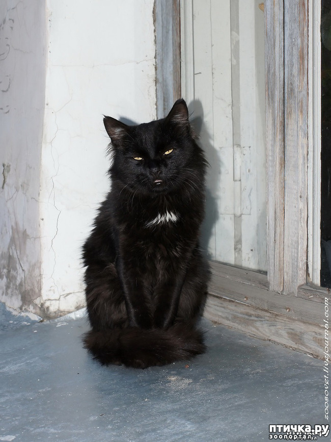 ���� 1: ��������� ��� ������� ����