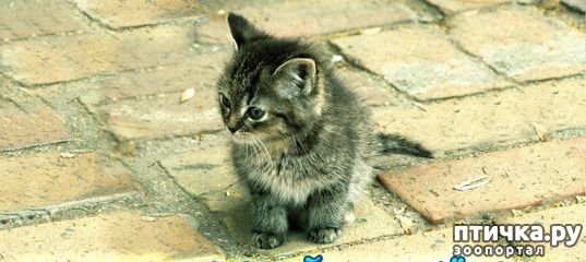 ���� 2: ��������� ��� ������� ����