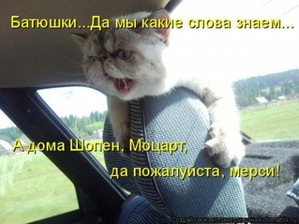 ����: ������ ����, ����� "������" (������� ���� �����)