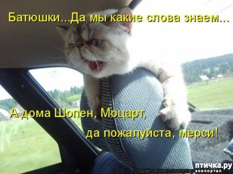 ���� 1: ������ ����, ����� 