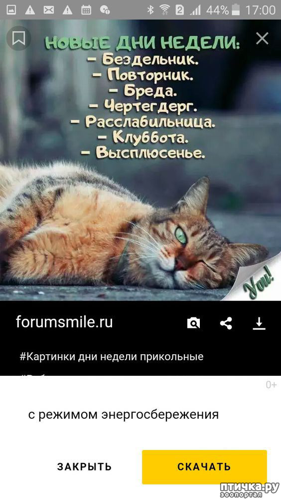 ���� 2: ������ ����, ����� 