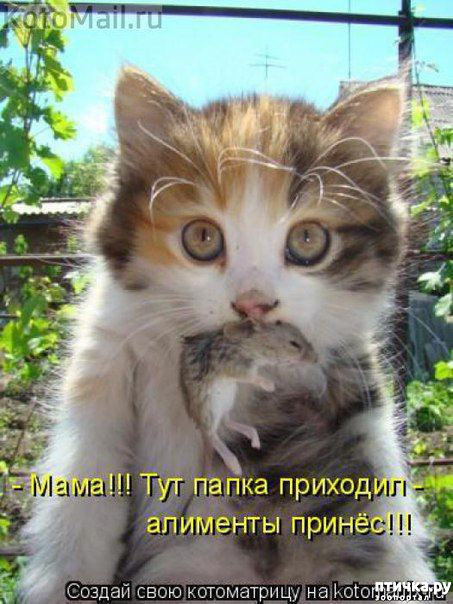 ���� 3: ������ ����, ����� 