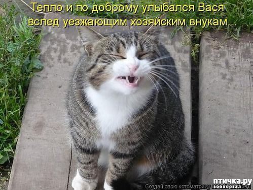 ���� 5: ������ ����, ����� 