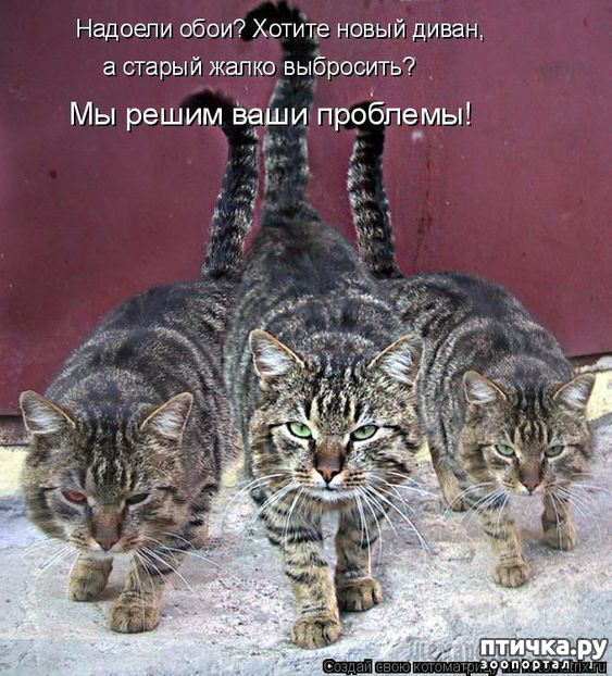 ���� 6: ������ ����, ����� 